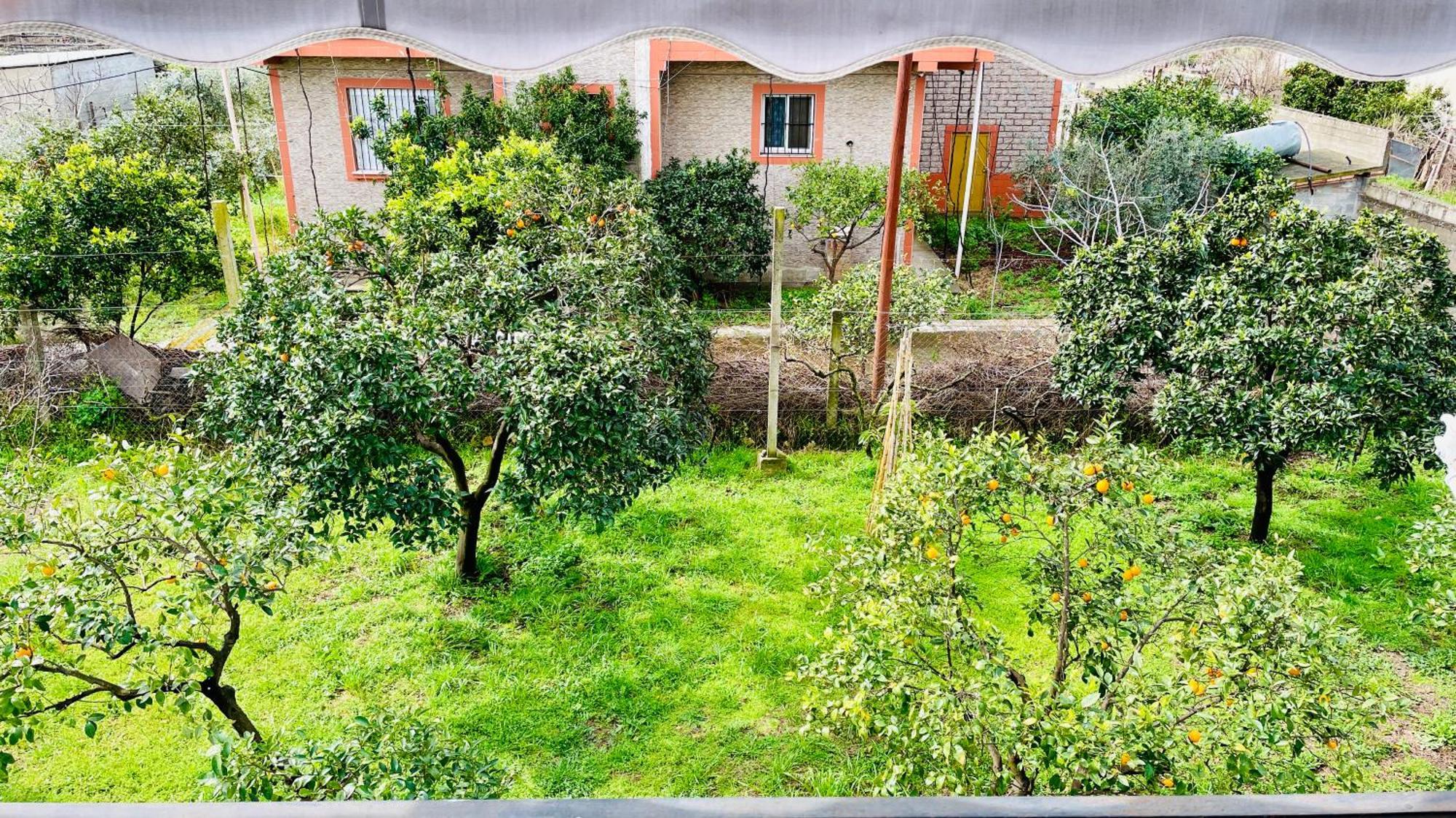 Mia Guest House - Entire Home With Balcony & Garden Divjake Exterior foto